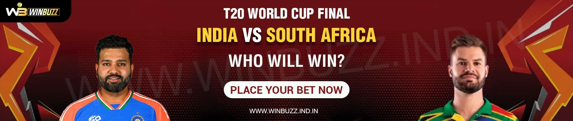 T20-World-Cup-Final-India-Vs-SA